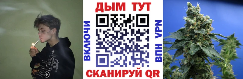Марихуана THC 21%  это наркотические препараты  Дно  как найти наркотики 